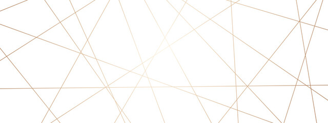 A beautiful Chaotic abstract line seamless pattern. Random geometric line seamless pattern. colorful outline monochrome texture. Vector illustration