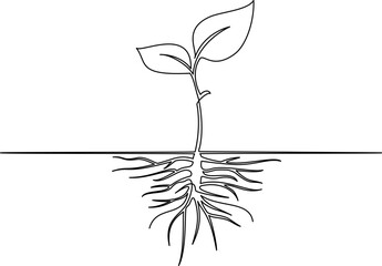 Wall Mural - sprout with roots. continuous one line drawing