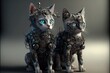 Cyborg kitten with implants on body and head. Cyberpunk theme. Isolated background.