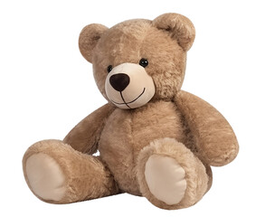 cute teddy bear on transparent background png