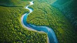 Unique aerial view of a winding river cutting through a vibrant green forest, save the planet concept. World Enviroment Day. Generative ai