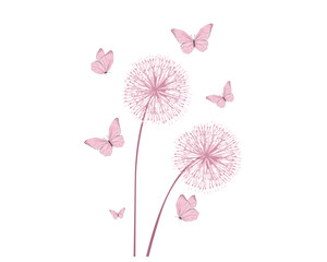 Wall Mural - pink dandelion flower background