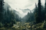 Fototapeta Las - AI Generated a mountain forest with high trees myst and fog grim background