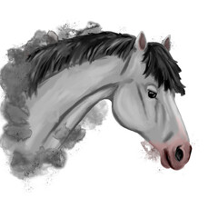 Naklejka na meble Watercolor horse drawing