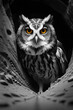 © nali - Owl in wood haule bird, Generative AI