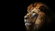 Head of aggressive lion looking lateral with copy space for advertisement. Space background for banner text. Generative AI