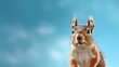 © Kanisorn - Head of furry Squirrel looking lateral with copy space for advertisement. Space background for banner text. Generative AI