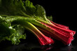 Ripe Rhubarb with water drops on a black background, Generative AI