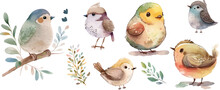 Bird Nature Watercolor Neutral Colors For Kids Simple Drawing Childish Cute