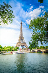 Wall Mural - eiffel tour and paris cityscape
