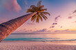 © icemanphotos - Lonely palm tree sea sand beach. Panoramic dream beach landscape. Inspire tropical seascape horizon. Orange and golden sunset sky calm tranquil relaxing summer vibes. Perfect wallpaper best background