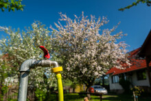 Garden Water Tap With A Yellow Hose At A Residential Home At Springtime, Flowering Fruit Trees In The Background.