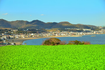 Sticker - 三浦海岸　海　神奈川県三浦市南下浦
