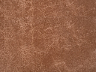 Sticker - Soft dark beige leather natural texture, matte material, abstract background.