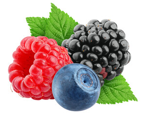 wild berries mix, raspberry, blueberry, blackberry, isolated on white background, full depth of fiel