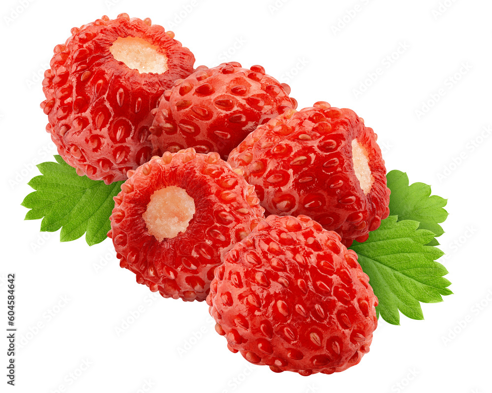 wild Strawberry isolated on white background, full depth of field Stock ...