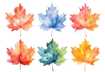 Wall Mural - Maple Leaf Set Watercolor Style Isolated on Transparent Background - Generative AI
