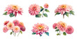 Set of watercolor dahlia flowers. Generative Ai