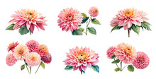 Set Of Watercolor Dahlia Flowers. Generative Ai