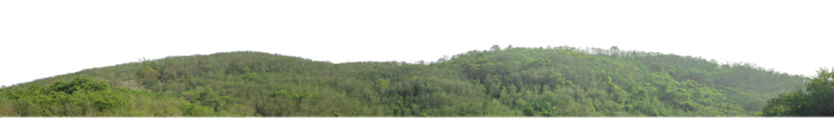 Leinwandbilder - rocky mountain hill with green forest isolated on transparent background with clipping path and alpha channel..