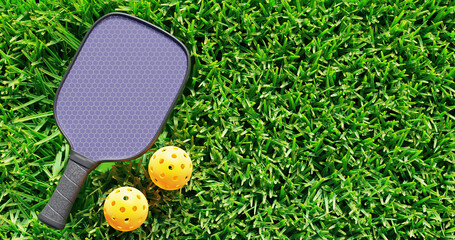 Canvas Print - Pickleball. One racket two balls on green grass.3d rendering