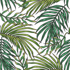 Wall Mural - Tropical exotic green leaves or plant seamless pattern for summer background and beach wallpaper.
