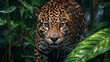 Wild Majesty, Jaguar in the Amazon Rainforest