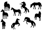 Fototapeta Konie - horse silhouette vector set