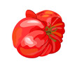 Ugly tomato. Vector usolated illustration of imperfect tasty vegetable. Realness concept.