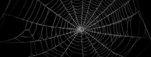 Real Creepy Spider Webs Silhouette Isolated On Black Banner Panorama - Halloween Background Template (Generative Ai)