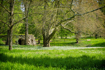 Manor park in Dolna Krupa, Slovakia