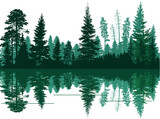 Fototapeta Fototapeta las, drzewa - high geen firs in forest with reflection