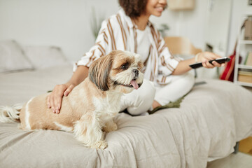 Wall Mural - Side view portrait of cute little dog sitting on sofa with young woman and enjoying pets, copy space