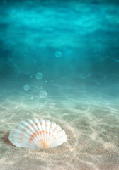 Wall Mural - Seashell and starfish on the summer beach in sea water. Underwater ocean background.