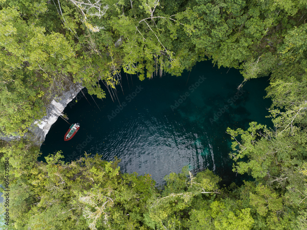 The collapsed roof of a dark, water-filled cave opens into a forest ...