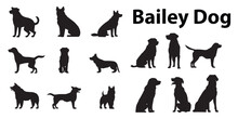 A Set Of Bailey Dogs Vector Illustrations.