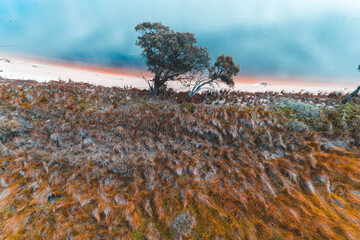 Wall Mural - Aerial view of bushy slope hill down to the beach. Sunny day in summer with vibrant colours. Channel Island, Mandurah, Western Australia, Australia. Top view. Coastal, Seascape