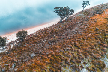 Wall Mural - Beautiful aerial view of the sea and the beach down a slope with trees.