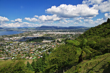 Wall Mural - City of Rotorua, New Zealand