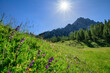 © Westend61 - Italy, Veneto, Sun shining over alpine meadow in summer
