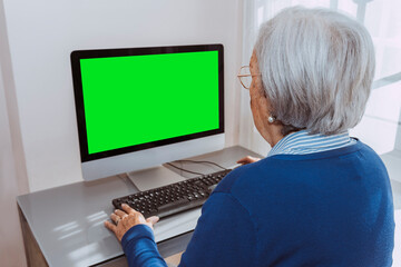 Back view of aged woman, senior old mature grandmother looking focused using pc, sitting at desk, surfing internet. Mock-up green screen.