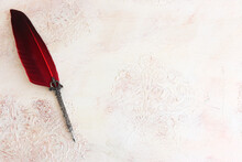 Vintage Ink Pen With Red Feather