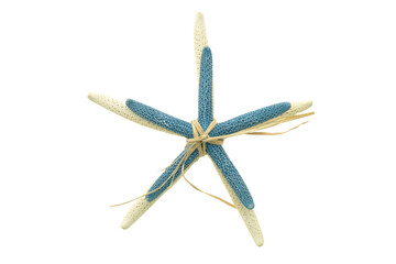 Wall Mural - starfish bundle a blue and white starfish wrapped together isolated on transparency png file