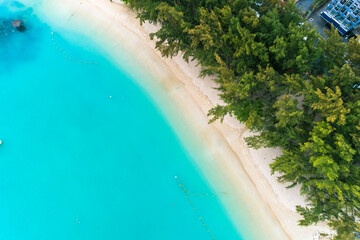 Wall Mural - Aerial view of the beach with palm trees and sea. Grand Baie Beach, Mauritius.