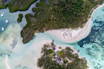 Wall Mural - Beautiful island beach with palm trees and blue sky leading out to the open ocean. Ile Aux Cerfs, Mauritius. Aerial view of sandy beach. Aerial drone view of the beautiful tropical ocean beach.