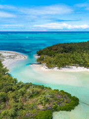 Wall Mural - Beautiful island beach with palm trees and blue sky leading out to the open ocean. Ile Aux Cerfs, Mauritius. Aerial view of sandy beach. Aerial drone view of the beautiful tropical ocean beach.