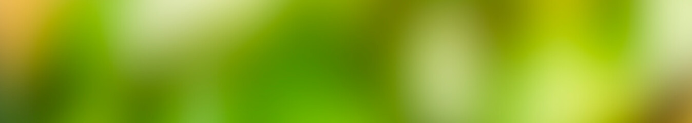 Poster - abstract light green Vector green blurred background.