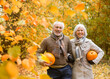 © KOTO - Older couple carrying pumpkins in park