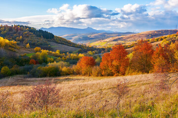 Wall Mural - beautiful view in to the rural valley. autumn scenery on a sunny afternoon. clouds above the distant ridge with high peak