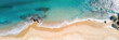 Caribbean seashore coastline with sand beach from above (Generative AI)
